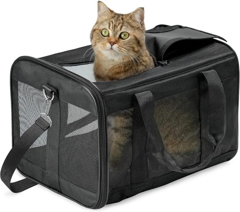 Transportines de Amazon para llevar a tu mascota de vacaciones