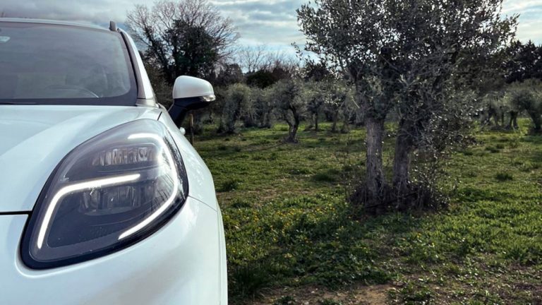 La marca de coches que quiere utilizar olivos españoles para fabricar componentes