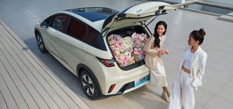 El BYD Dolphin se actualiza en China para que te lo compres por menos dinero