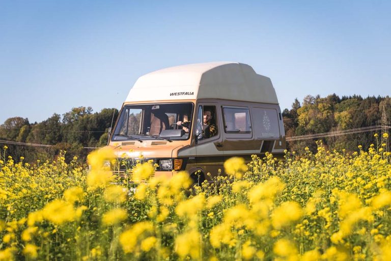 Mercedes Marco Polo: 40 años con la casa a cuestas