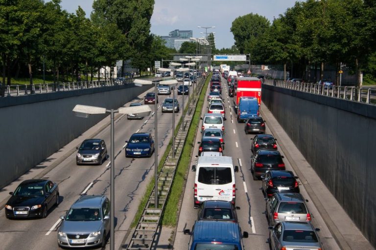 La DGT inunda de plantas venenosas nuestras carreteras