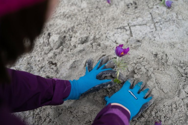 Audi: cómo ser ecológico más allá de los coches