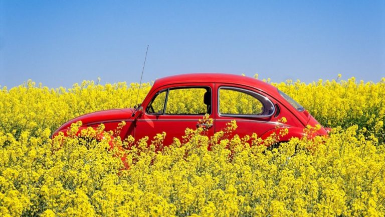 La DGT te explica cómo debes preparar tu coche para conducir en primavera