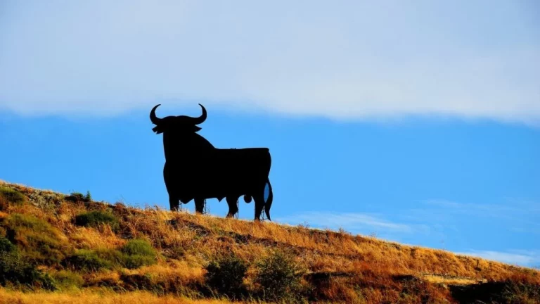 La historia que hay detrás del toro que inundaba las carreteras en España
