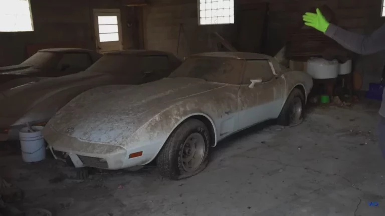 Así de brillante queda este Chevrolet Corvette tras recibir su primer baño en 45 años