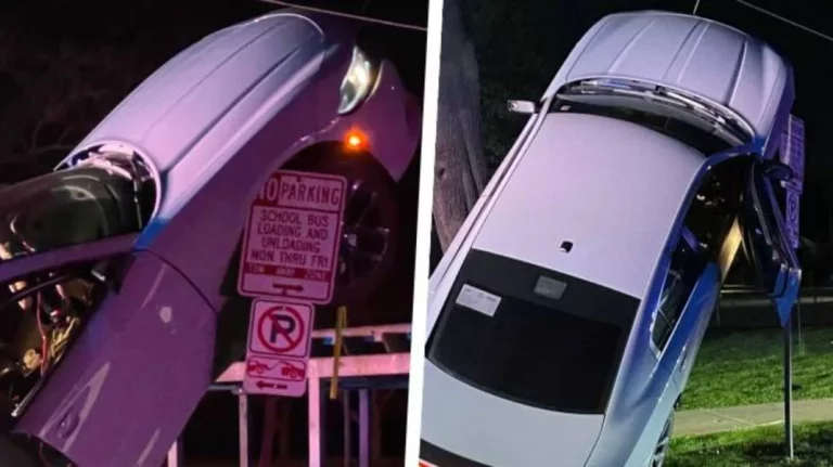 El conductor de este Dodge Charger te da una lección de cómo no debes aparcar tu coche