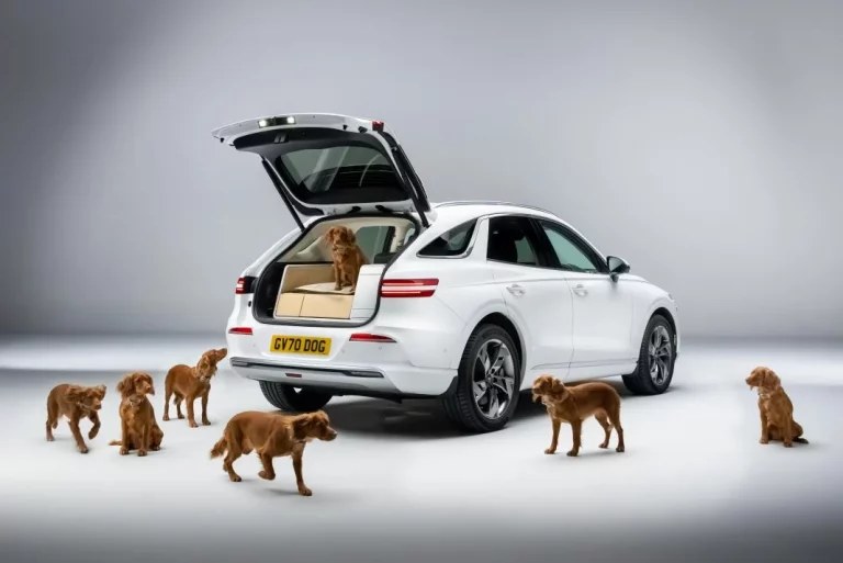 Genesis GV70: el mejor amigo de los perros