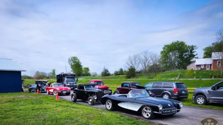 A lo ‘60 segundos’: Descubren 16 coches clásicos robados y valorados en 3 millones