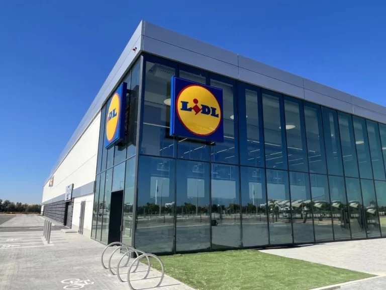 LIDL tiene el mejor portabicicletas para la bola de tu coche del mercado: Y con 300 euros de descuento