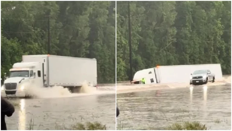 El tráiler de 18 ruedas que quería conocer las arenas movedizas