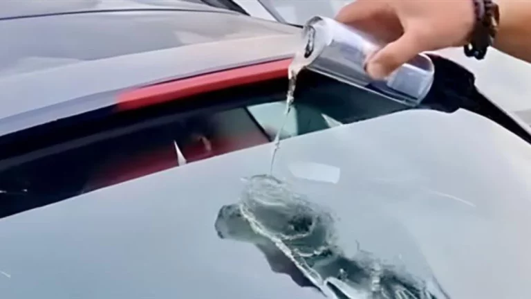 ¿Derramar Red Bull en tu parabrisas lo hará estallar? La verdad detrás del video viral