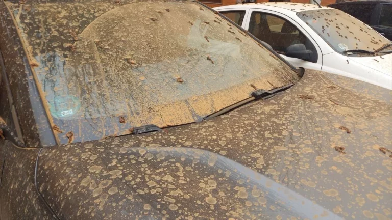Lavar el coche: Lo estabas haciendo mal, así debes limpiarlo cuando ha llovido barro
