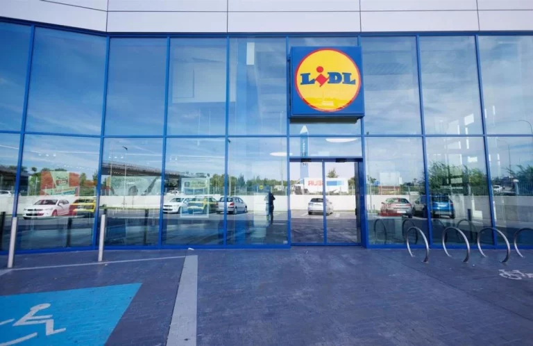 La ingeniosa solución de Lidl para que tu perro o gato no pase calor dentro del coche