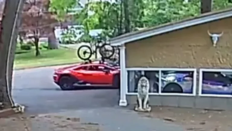 Los dueños de un Lamborghini no están acostumbrados a llevar sus bicis en sus coches. Y este vídeo es la prueba