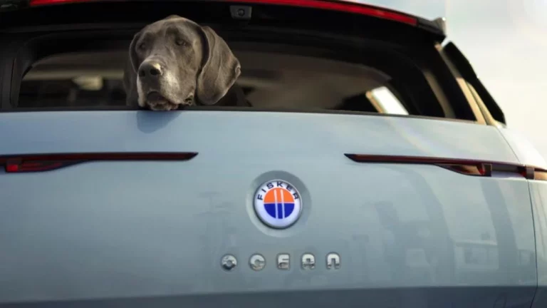 A Fisker le crecen los enanos… después de la bancarrota, esto