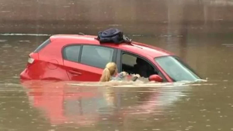 Aunque no lo creas en internet hay manuales incluso para de un coche que se hunde en el agua