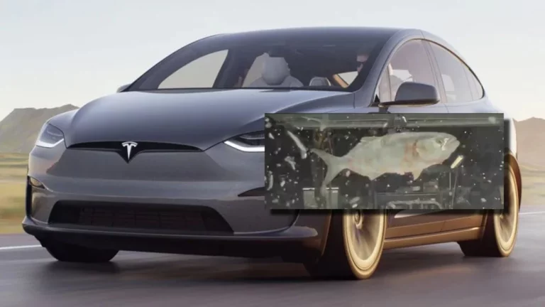 Video expone que hasta los peces odian a Tesla