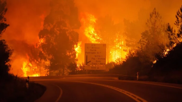 Cuidado con los incendios, esto es lo que debes hacer si te pilla uno en carretera