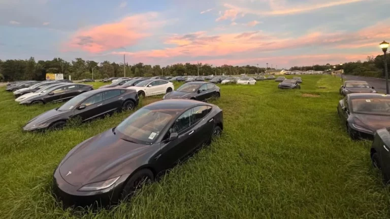 El sitio donde se almacenan cientos de Tesla Model 3 a la espera de nuevo dueño: Como en la pradera de San Isidro
