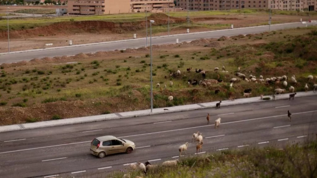 asi es esta autopista fanstasma madrid 1 Motor16