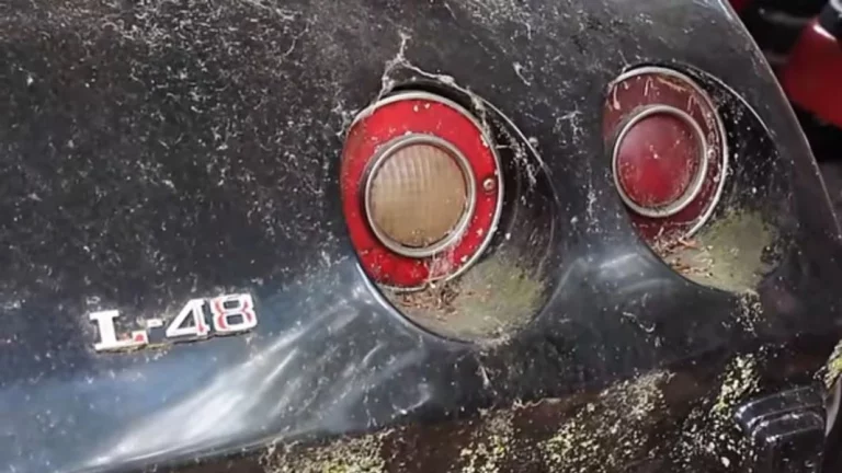 Este Corvette Stingray de 1976 recibe su primer baño en 15 años