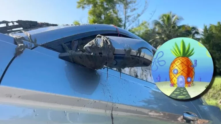 Si buscabas tu Ford Mustang, lo tiene la policía. Estaba aparcado en la puerta de Bob Esponja
