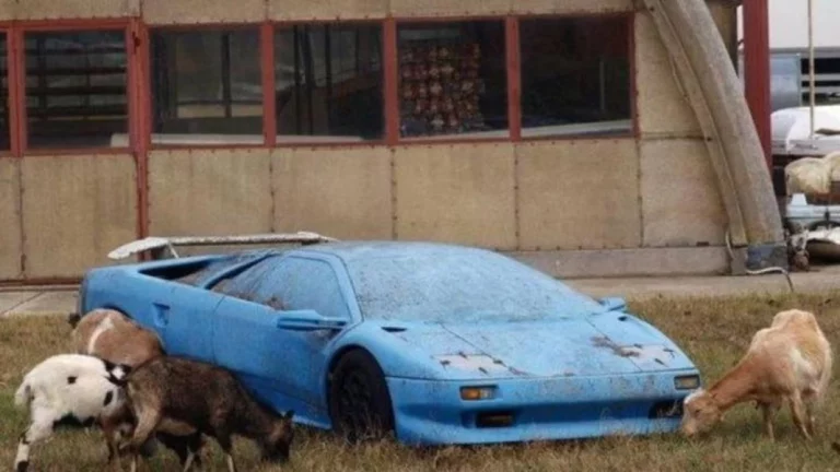 La sencilla forma de poderte quedar un coche que está abandonado