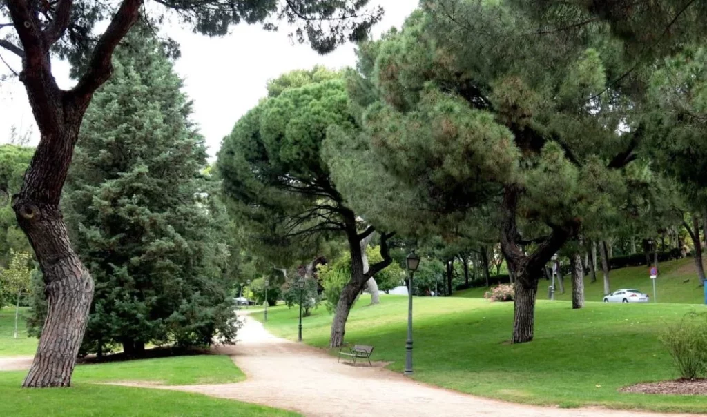 María (31), profesora de autoescuela: "Te enseño a conducir por ciudad sin perder los nervios" 3 Motor16 parque ciudad