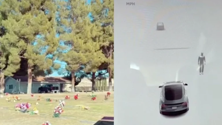 El punto común que este Tesla tiene con el niño del Sexto Sentido y que arrasa en redes sociales