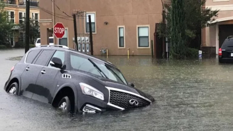 Lee esto antes de comprar un coche: así se detecta si sufrió una inundación