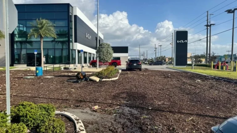 El concesionario de Kia que se va a convertir en la peor pesadilla de Mapfre, Allianz, Caser o DKV