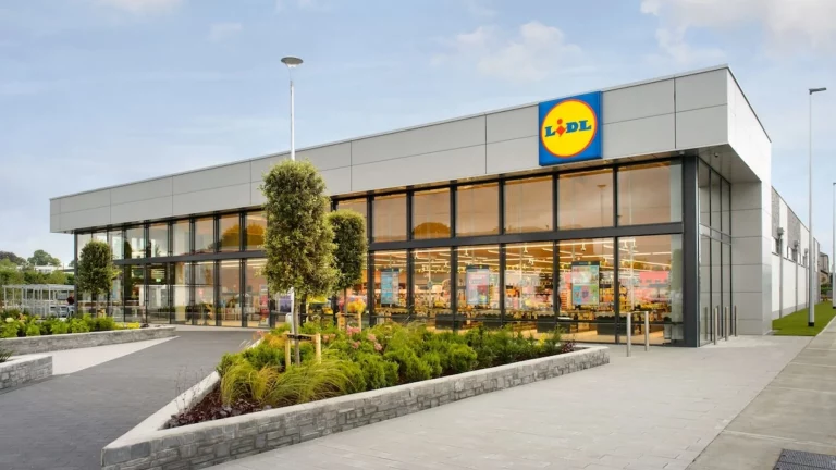 LIDL tiene el accesorio por el que suspira tu coche en invierno. Y lo bajan de 24,99 a 19,99 euros