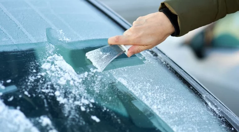 LIDL tiene el accesorio para que no se hiele el cristal de tu coche: Y cuesta solo 3 euros