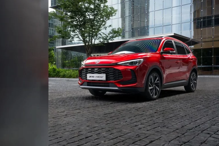¿Cuántos coches chinos se vendieron en España en 2024?