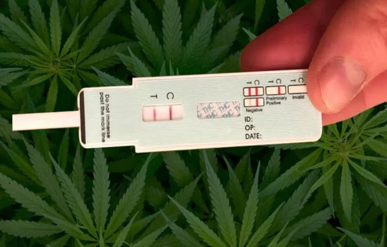 La multa que te van a poner si das positivo por CBD en un control de tráfico