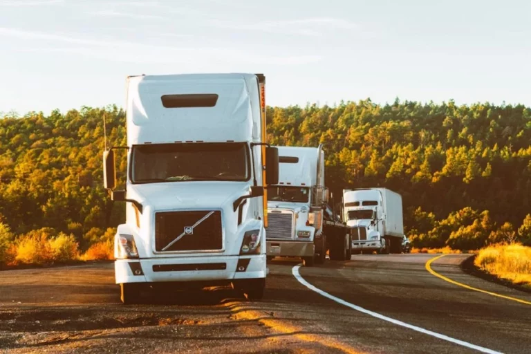 Cómo optimizar las rutas de transporte con un software de transportes
