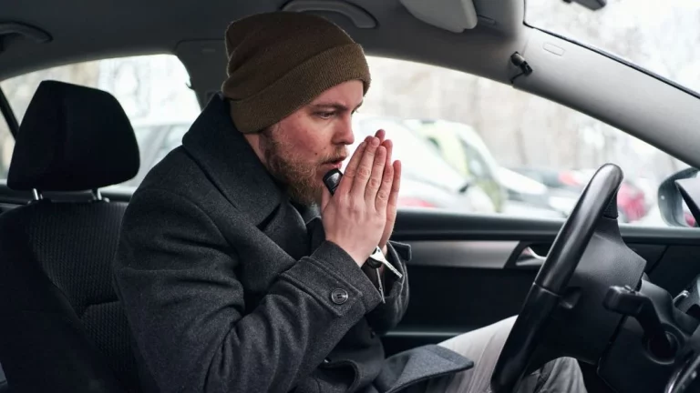 Calentar el interior de tu coche sin calefacción: El truco contradictorio que funciona