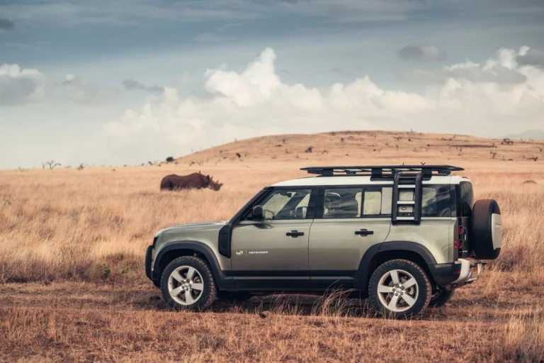 Defender sigue trabajando para conservar la fauna salvaje en África