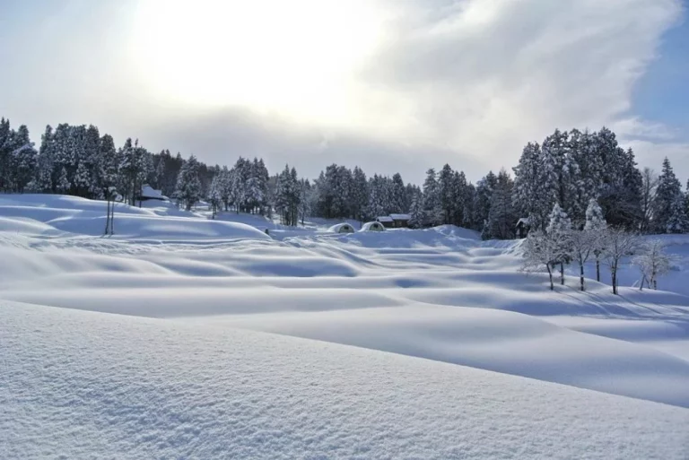 La DGT te recuerda los cuatro colores que puede tener la nieve en la carretera