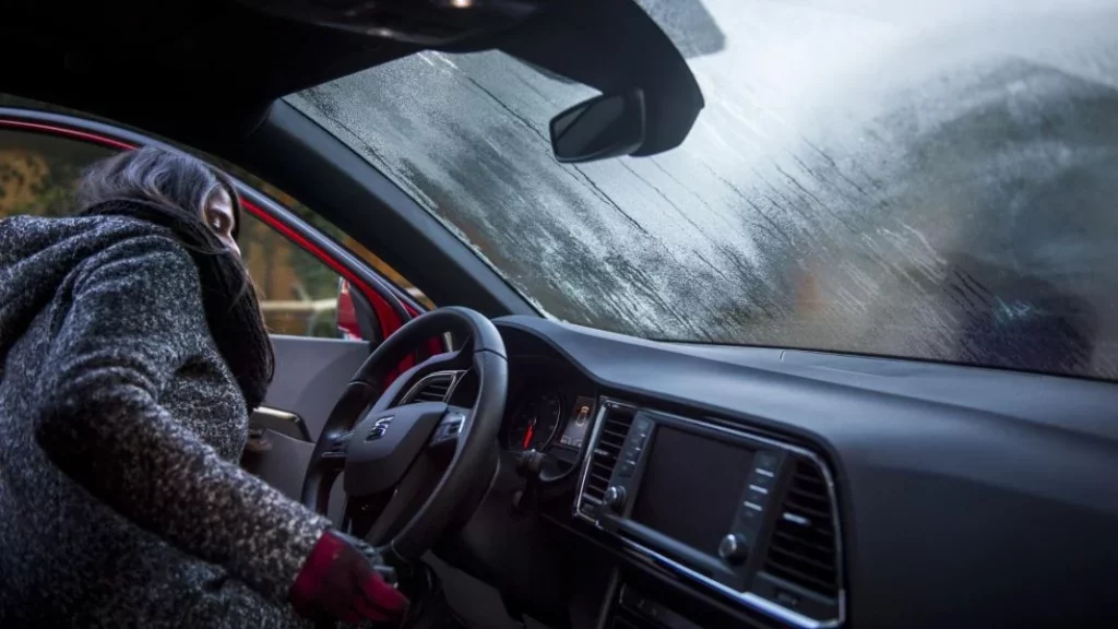 Si tu coche sufre de humedades, LIDL tiene la solución con este accesorio que cuesta menos de 7 euros 3 Motor16 habitáculo de coche
