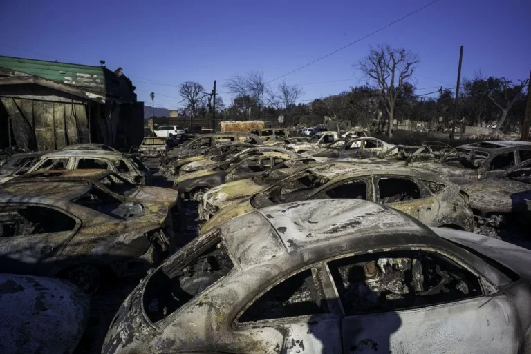 Mercedes-Benz, solidaria con los afectados por los incendios de Los Ángeles
