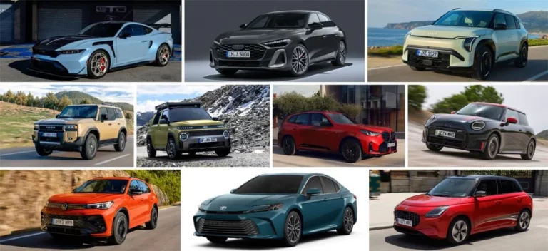 Los coches que triunfan en cada país, estos son los elegidos en 2024