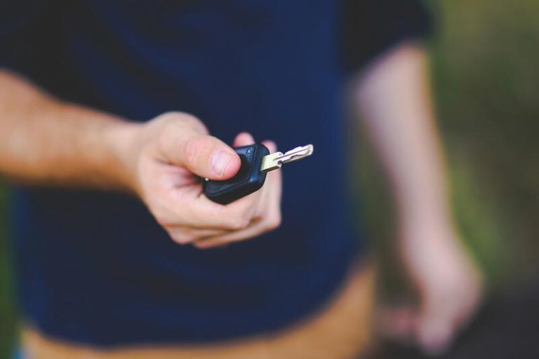 20.423: Los vehículos que el renting ha matriculado en enero en España
