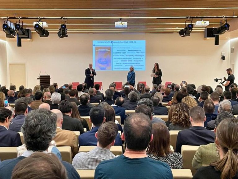 El ‘dineral’ que ha costado instalar en España 10.088 puntos de recarga en 2024