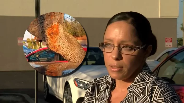El curioso atropello por el que esta conductora salió corriendo del escenario del crimen