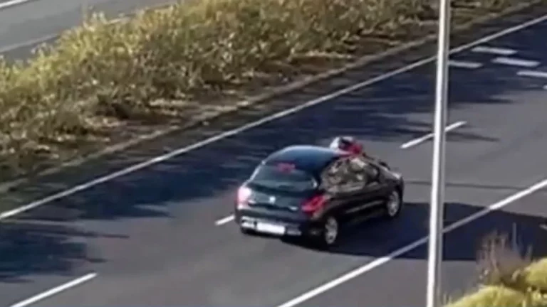 La impresionante multa que le puede caer a este conductor de Cáceres por esta peligrosa acción