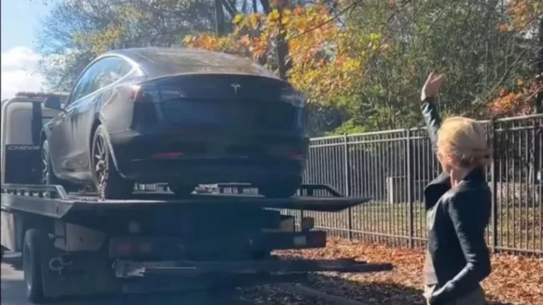 Trump y Musk están detrás del motivo por el que la cantante Sheryl Crow ha vendido su Tesla