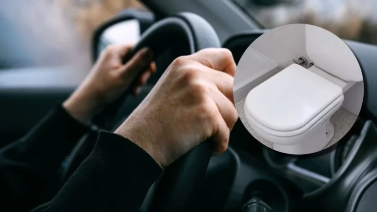Cuando sepas el motivo por el que comparan el volante de tu coche con un váter vas a flipar