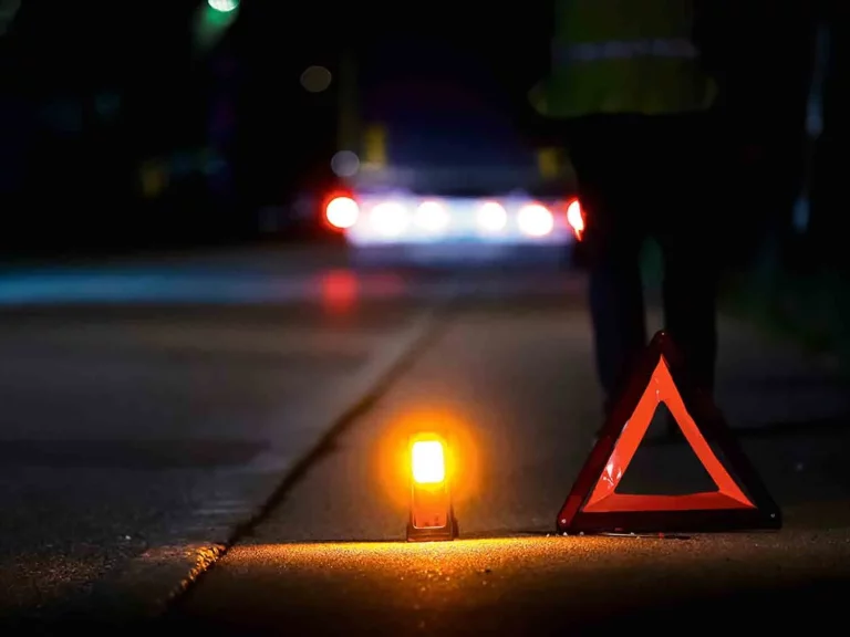 5 accesorios para el coche que LIDL ofrece a precio de ganga para el Día del Padre