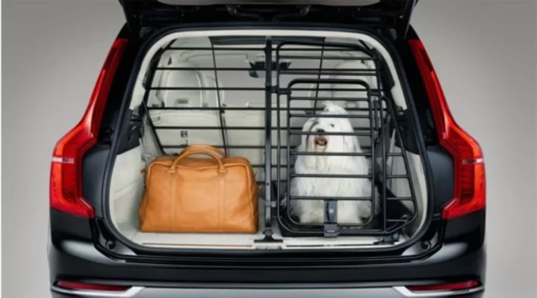Si tienes perro, este es el Volvo que te tienes que comprar